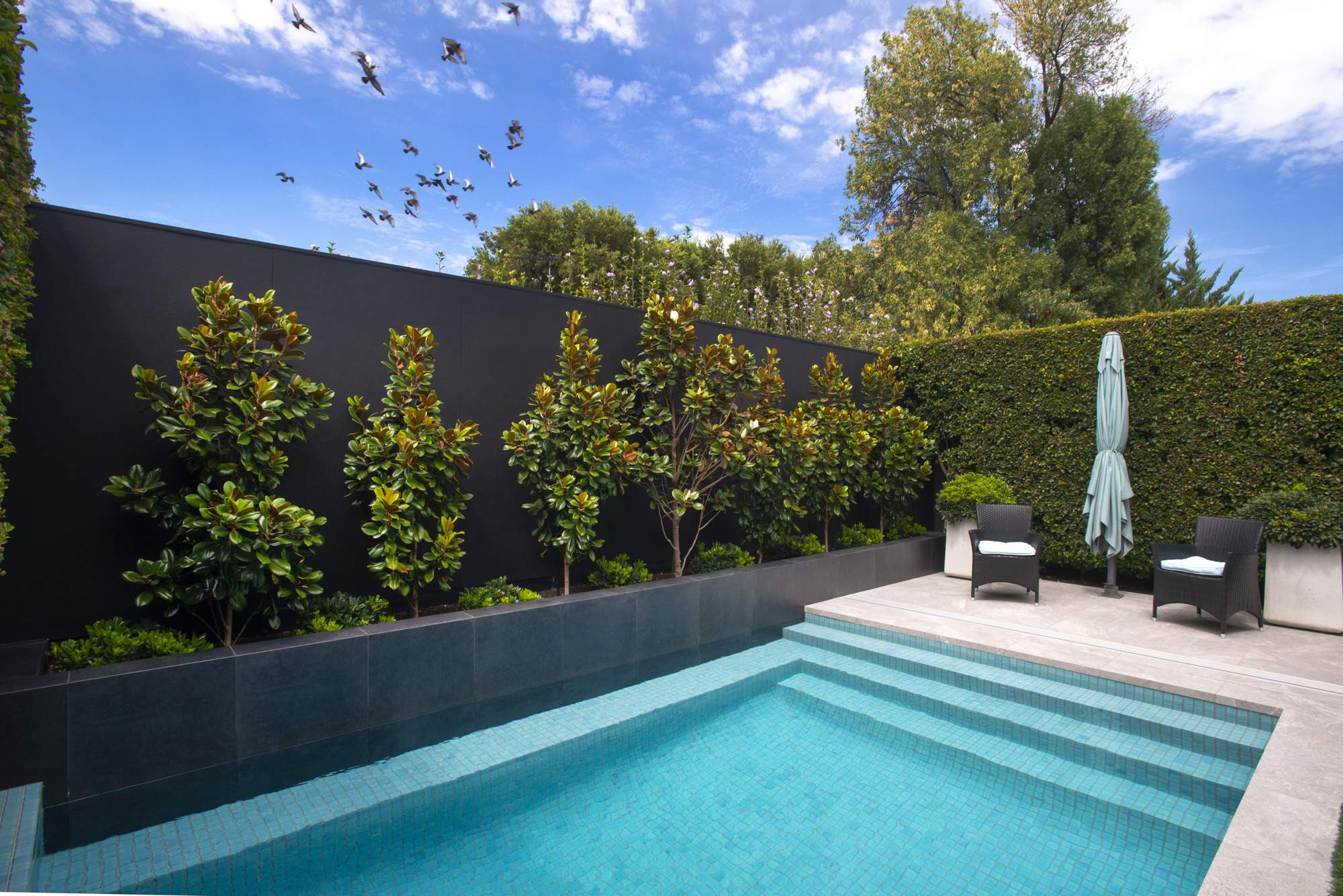Elite Pools and Landscapes | SPASA Awards